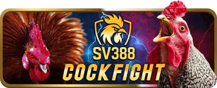 Cá cược thể thao tại 68win12 chính thức